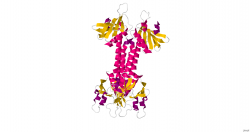 Molekula proteinu ELMO1