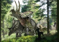 V případě kopulace rohatých dinosaurů ceratopsidů ještě nečiní představa o průběhu aktu velké potíže – v tomto případě bylo jen potřeba dávat pozor na lebeční excesivní struktury, tedy výrazné rohy vyčnívající z okrajů límce a hlavy. Zde párek obřích ceratopsidů rodu Pentaceratops. Kredit: Jose Antonio Penas/Science Photo Library