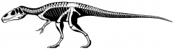 Moderní rekonstrukce kostry megalosauridního teropoda druhu Eustreptospondylus oxoniensis, žijícího na území západní Evropy v období střední až pozdní jury (asi před 163 až 154 miliony let). Tento středně velký teropod o délce kolem 6 metrů a půltunové hmotnosti mohl být velmi podobný příbuznému „moravskému“ teropodovi od Brna. Kredit: Jaime A. Headden; Wikipedie (CC BY-SA 3.0)