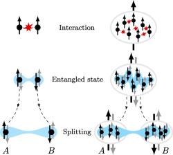 EPR Experiment s Bose-Einsteinovými kondenzáty. Kredit: Colciaghi et al- (2023), Physical Review X.