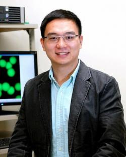 Zhen Gu, bioinženýr na University of North Carolina at Chapel Hill. Vylepšovatel náplastí všeho druhu.