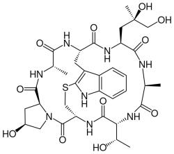 Phalloidin, psáno též faloidin (resp. phallolysin) je hepatotoxický cyklický heptapeptid ze skupiny  falotoxinů. (ChemSim, Wikipedia, volné dílo)
