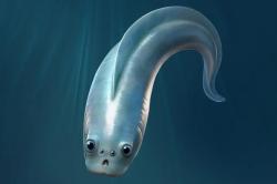 Rekonstrukce myllokunmingiida. Kredit: Xiangtong Lei & Sihang Zhang / University of Leicester. Rekonstrukce myllokunmingiida. Kredit: Xiangtong Lei & Sihang Zhang / University of Leicester.