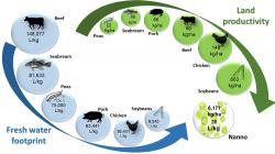 Produkce esenciálních aminokyselin z pohledu potřeby sladké vody a roční produktivity a záboru půdy. (Kredit:  Průmyslová biotechnologie, CC BY-ND)