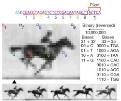 U „filmu“ z pěti obrázků bylo třeba přepsat pixely každého z nich samostatně a do DNA zapsat v samostatných rámcích. (Kredit: Shipman a kol., Harvard Univ. 2017)