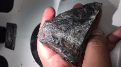 Fosilie tyrannorotera. Kredit: Arjan Mann.