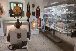 „Mysl zvířete.“ Kredit: Zde, Wikimedia Commons. Licence CC 4.0.