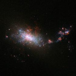 Trpasličí galaxie NGC 1140, bouřlivě tvořící nové hvězdy. Kredit: ESA / Hubble & NASA.