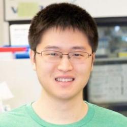 Alex Gao: „Bakteriální enzym, který syntetizuje DNA bez templátu nukleové kyseliny. Jako vodítko používá svou vlastní strukturu“. Kredit:  Stanford University