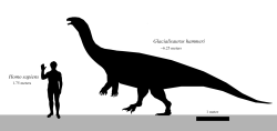 Glacialisaurus hammeri byl relativně malým sauropodomorfem, ale na území současné Antarktidy v období rané jury patřil k největším živočichům ve svých ekosystémech. Velcí jedinci dosahovali délky přes 6 metrů a hmotnosti pravděpodobně až přes 1000 kilogramů. Kredit: Skye McDavid; Wikipedia (CC BY-SA 4.0)