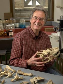 Olivier Rieppel. Na obrázku pózuje  s lebkou jiného tvora dinosauří éry. (Kredit Field Museum)