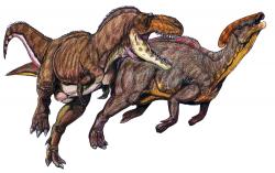 Rekonstrukce přibližného vzezření tyranosaurida druhu Teratophoneus curriei, zobrazeného při útoku na kachnozobého dinosaura druhu Parasaurolophus cyrtocristatus. Tato scéna se odehrála před zhruba 75 miliony let na území současného amerického státu Utah. Teratofoneové zřejmě dělali čest svému rodovému jménu, ve svých ekosystémech byli nejspíš dominantními predátory. Kredit: ДиБгд; Wikipedie (volné dílo)