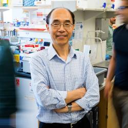 Guoping Feng, třetí z hlavních spoluřečitelů úkolu a autorů studie. MIT, Zhejiang University School of Medicine. Kredit: MIT.