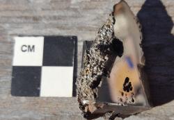 Vzorek meteoritu El Ali, který je nyní uložen ve sbírce meteoritů Albertské univerzity, obsahuje minimálně dva minerály, které dosud nebyly na Zemi nalezeny. Kredit: Nick Gessler/UCLA