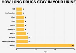 Prítomnosť návykových látok v moči sa dá zistiť niekoľko dní, marihuana je detekovateľná aj mesiac. (Source: DRUGS.ie)