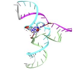 Ilustrační schéma krystalové struktury methyltransferázového ribozymu. Interaktivní struktura zde. Zdroj:  National Institutes of Health (NIH)