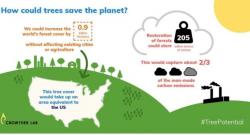 0,9 miliardy hektarů lesa je území velikosti USA. Infografika – crowtherlab.com.
