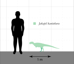 Velikostní porovnání dospělého člověka a ptakopánvého dinosaura druhu Jakapil kaniukura. Tento malý „obrněný“ býložravec obýval území současné argentinské Patagonie v době před asi 95 miliony let. Kredit: SlvrHwk; Wikipedia (CC BY-SA 4.0)
