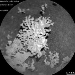 „Korál“ na Marsu. Kredit: NASA/JPL-Caltech/LANL/CNES/CNRS/IRAP/IAS/LPG.