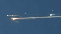 Háďátka přežila havárii raketoplánu Columbia (Kredit: AP)