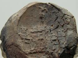 Otisk pozdně minojské pečeti. Kastelli, Chania, začátek post-palácového období, 1450-1400 před n. l. Archeologické museum v Chanii, KH 1563. Kredit: Zde, Wikimedia Commons
