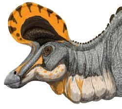 Rekonstrukce vzezření hlavy a krku kachnozobého dinosaura druhu Lambeosaurus magnicristatus. Typový druh Lambeosaurus lambei se od něho lišil zejména jiným tvarem svého lebečního hřebene. Oba tyto druhy hadrosauridů se vyskytovaly na území dnešní kanadské provincie Alberty v době před asi 76,5 až 75 miliony let. Kredit: Богданов; Wikipedia (volné dílo)