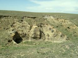 Sedimenty geologického souvrství Laramie v oblasti okresu Weld County v Coloradu. Mocnost vrstev má rozpětí 60 až 150 metrů a z velké části se jedná o pískovce a jílovce. Souvrství bylo definováno v roce 1876 a kromě fosilií dinosaurů zde byly objeveny také zkamenělé pozůstatky paryb, ryb, obojživelníků, nedinosauřích plazů (želv, ještěrů a krokodýlů) a také savců. Pestrost tehdejších ekosystémů dokládá také vysoká rozmanitost rostlinných druhů ve zdejším fosilním záznamu. Kredit: Anky-man; Wikipedie (volné dílo)