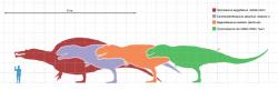 Velikostní srovnání pětice obřích teropodů a dospělého člověka. Všichni prokazatelně přesáhli 12 metrů délky a zhruba osm tun hmotnosti. Žádná současná suchozemská šelma se těmto druhohorním teropodům velikostně ani zdaleka neblíží. Kredit: Matt Martyniuk, Wikipedie (CC BY-SA 3.0)