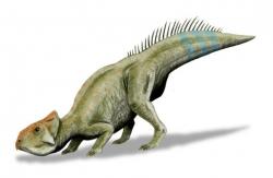 Rekonstrukce pravděpodobného vzezření živého zástupce druhu Leptoceratops gracilis. Tento malý rohatý dinosaurus byl jakýmsi vývojovým reliktem, žijícím ve stínu svého mnohem většího a vývojově vyspělejšího příbuzného triceratopse. Patřil však stejně jako on k tzv. lancijské fauně, tedy poslední populaci neptačích dinosaurů, žijících v nejpozdnější severoamerické křídě. Kredit: Nobu Tamura; Wikipedie (CC BY 3.0)