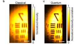 Vlevo klasická světelná mikroskopie, vpravo QMC. Kredit: Caltech.