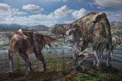 Stáda kachnozobých dinosaurů (zejména rodu Edmontosaurus), patřila k nejúspěšnějším a nejrozšířenějším populacím dinosaurů posledních milionů let druhohorní křídy. Jak se ukázalo díky výzkumům v posledních letech, edmontosauři i někteří další hadrosauridi vytvořili ekologicky úspěšné „polární“ populace také vysoko na severu Laramidie. Zde stádo dosud nepopsaných kachnozobých dinosaurů, objevených na hromadném nalezišti Liscomb. Kredit: Masato Hattori, ilustrace k odborné práci v periodiku Nature (CC BY 4.0).