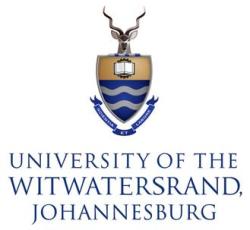 Logo. Kredit: University of the Witwatersrand.