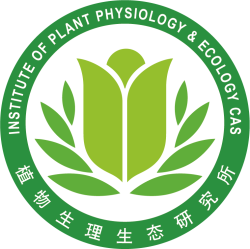 Logo. Kredit: SIPPE. Logo. Kredit: SIPPE.