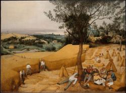 Vedra fascinovala i umělce.  Na obraze Pietera Bruegela staršího je na obrazu z roku 1565 zachycen spalující žár tak věrně, že ho divák téměř fyzicky cítí.  Nepoužil k tomu dramatická gesta, ale čistou atmosféru - celou krajinu zahalil do těžkého, teplého oparu, obloha není azurová, ale bledá a rozpálená. Všimněte si postavy rolníka, který horkem doslova „odpadl“ a pod stromem hledá . Únik před extrémním teplem.  Zdroj: The Metropolitan Museum of Art.