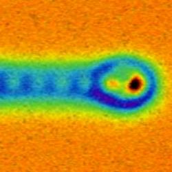 Majoranův fermion na konci nanodrátku z atomů železa. Kredit: University of Basel.