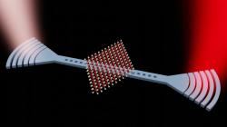 Generátor exciton-polaritonů. Kredit: Zhi Wang.