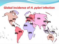 Prevalence H. pylori se pohybuje mezi 80% a 90% v rozvojových zemích a mezi 30 a 50% v rozvinutých zemích. Epidemiologie infekce H. pylori se změnila zavedením hygienických pravidel a medicínských metod eradikace. Zdroj:  www.slideshare.net