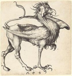 Jedno z mnoha různých vybrazení Gryfa v průběhu středověku a raného novověku, v tomto případě v podání nizozemského umělce Hieronyma Wierixe ze 16. století (dle starší rytiny německého grafika Martina Schongauera z 15. století). Převzato z Wikipedie.