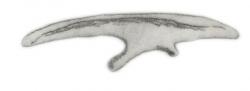 Ilustrace fosilie kyčelní kosti mikropachycefalosaura. Z tohoto malého býložravého dinosaura o velikosti domácí kočky se bohužel dochovaly jen fragmenty, které neumožňují vytvořit si spolehlivou představu o tvaru jeho těla, přesné velikosti nebo třeba přítomnosti hypotetického tělesného pokryvu v podobě „proto-peří“. Bude tedy nezbytné objevit další, kompletnější fosilie tohoto dinosaura s nejdelším rodovým jménem. Kredit: Ghedoghedo; Wikipedie (CC BY-SA 4.0)