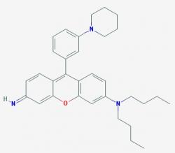 Mito Thermo Yellow (MTY). Fluorescenční barva používaná v mikroskopii. Je citlivá na teplo a tak ji lze využít jako teploměr ke zjišťování poměrů uvnitř struktur v buňce. S její pomocí se podařilo zjistit, jak vnitřek mitochondrií „sálá“.