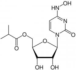 Pokud bude molnupiravir schválen, stane se prvním perorálním lékem COVID-19. (Kredit: volné dílo).