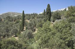 Moni nad svými olivovými háji a zahradami. Kredit: Zde, Wikimedia. Licence CC 4.0. Commons