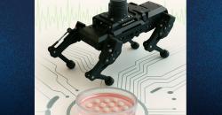 Robot, mozek a grafen. Kredit: Wirla Pontes.