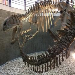 Kostra druhu Yangchuanosaurus shangyouensis v expozici Přírodovědného muzea v Pekingu. V popředí je vidět ocasní část kostry stegosaurida rodu Tuojiangosaurus multispinus, který s jangchuanosaurem (ke své smůle) sdílel jurské ekosystémy dnešní jihovýchodní Číny. Kredit: BleachedRice; Wikipedie (CC BY-SA 4.0)