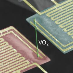 Kovový exot oxid vanadičitý v experimentu. Kredit: Junqiao Wu/Berkeley Lab.