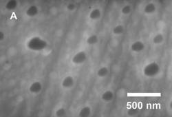 Snímek z rastrovacího elektronového mikroskopu zobrazuje nanočástice hliníku v matrici gallia. Kredit: Amberchan et al., Applied Nano Materials 2022.