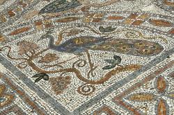 Pozdně antická mozaika z Aplomaty na Naxu. Páv na vinici. Kredit: Zde, Wikimedia Commons. Licence CC 3.0. Pozdně antická mozaika z Aplomaty na Naxu. Páv na vinici. Kredit: Zde, Wikimedia Commons. Licence CC 3.0.