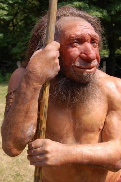 O tom, zda v případě onemocnění covid-19 máme třikrát vyšší riziko, že nás budou muset připojit na plicní ventilaci, rohoduje neandertálský haplotyp. Zdroj foto:  Neandertal museum in Mettmann, Germany. Kredit: Johannes Krause, Max Planck Institute.