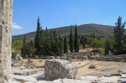 Posvátný cypřišový háj a torza sloupů. Pohled od Diova chrámu. Nemea, hlavní archeologický areál. Kredit: Zde, Wikimedia Commons. Licence CC 4.0.