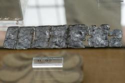 Olověný pásek s nápisem, asi z chrámu, kolem 330 před n. l. Nemejské archeologické muzeum, IL 90. Kredit: Zde, Wikimedia Commons. Licence CC 4.0.